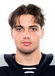 Valleyfield Braves (QJAAAHL) Player Register at hockeydb.com