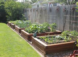 Gardening Lawn Design Garden Layout Backyard Garden Design