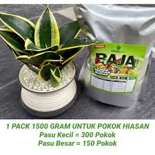 Check spelling or type a new query. Baja Sb Pokok Hiasan Viral Dalam Pasu 3 Dalam 1 Untuk 300 Pokok Shopee Malaysia