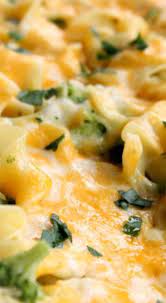 Broccoli Chicken Casserole With Egg Noodles Chicken Recipes Casserole Pasta Dishes Recipes