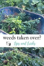 You will need * water * garden tools, such as a trowel, fork, or hoe * mulch or lawn seed * herbicide * a bag for recycling compost * black plastic bag or tarp. How To Clear A Garden Full Of Weeds Arxiusarquitectura