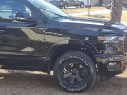 Image result for Holland Blue 2020 Ram