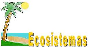 Thus, its components include plants. Ecosistema Biologia By Juanpatt15 On Emaze
