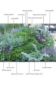 Grenze Mit Blau Lila Blumen Und Pflanzen Mit Silber Laub Von Ollie Garten Garten Pflanzen Garten Bepflanzen