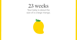 Weeks in a month calculation. 23 Weeks Pregnant Symptoms Tips And More