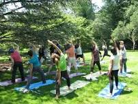 Yoga in the Gardens