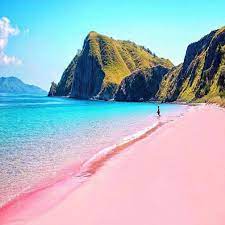 różowa plaża Images?q=tbn:ANd9GcRkYOSqBAEdLW0oR58DoXUxSszb3Rn-n8VZUsJpWJUhmrXBhKKRBHoh1HzQ7JLMb9VueT8&usqp=CAU