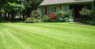 Visit your local baton rouge petsmart store for essential pet supplies like food, treats and more from top brands. Lawn Mowing Baton Rouge La Chop Chop Landscaping Baton Rouge La
