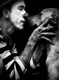 tvb ma tanto tanto 写真