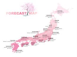 cherry blossom forecast 2019 in japan japan web magazine