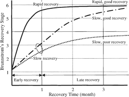 Cortical Reorganization In Patients With Subcortical