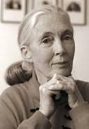 Jane Goodall Books