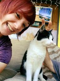 A creature of majestic balance, and ameowzingly cute eyes! 👀😸 What's your  favorite thing about cats? 🐾🔝 #cateyes #cutecats #ilovecats  #liamtheeverydaycat