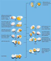 Egg Temperature Scale For Perfect Poached Eggs By