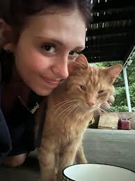 Lost cat near Oxford Ave ASU area