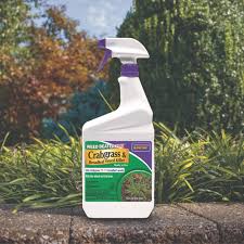 Weed Beater Plus Crabgrass & Broadleaf Weed Killer Ready-To-Spray - Bonide