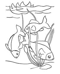 Use this iditarod word search and free printable worksheets to help students learn about this iconic dogsled race held annually in alaska. Ponds Coloring Pages Learny Kids