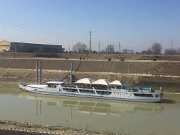 Risultati immagini per Acipenser sturio isola serafini