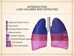 How To Increase My Lung Capacity To Run Quora