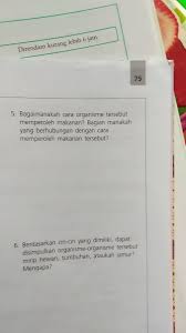 Bagaimanakah Cara Organisme Tersebut Memperoleh Makanan Bagian Manakah Yang Berhubungan Dengan Brainly Co Id