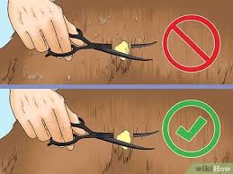 How to remove gum from your hair. 4 Ways To Remove Chewing Gum From A Dog S Hair Wikihow