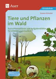 Strategie 6 zum sachtext verstehen: Tiere Und Pflanzen Im Wald Auer Verlag