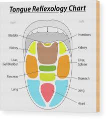 Tongue Reflexology Chart Wood Print