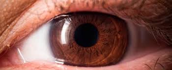 Tranende Augen Ursachen Symptome Diagnose Behandlung