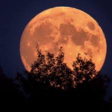 The moon when it is shaped like a complete disc, or a time when it is: October Will Have Two Full Moons Including Rare Halloween Blue Moon Kbak