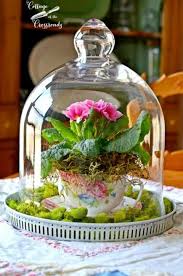 Ein Mini Garten In Der Teetasse Ist Die Beste Alternative Der Blumengarten Mini Garten Teetasse Blumenarrangements Diy