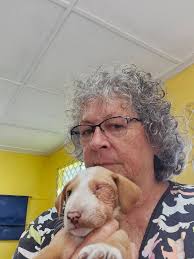 Mango Dog Adoption in Winnipeg Canada