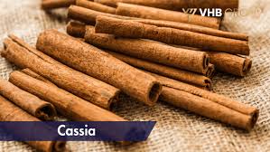 Image result for Cassia burttii