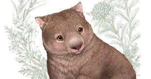 Little Aussie Friends Illustrations Www Elisemartinson Com Animal Illustration Art Australia Animals Australian Animal Nursery