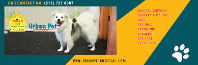 Welcome to bay area bird & exotics hospital. Urban Pet Hospital Resort Linkedin