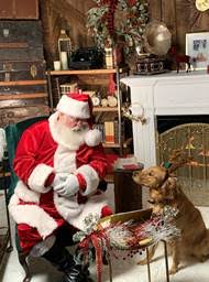 Décoration de noël collection rococo. Un Noel Virtuel Et Magique Au Complexe Desjardins Rencontre Avec Le Pere Noel En Direct Du Pole Nord Et Lancement De La Boutique En Ligne Du Complexe Desjardins L Initiative