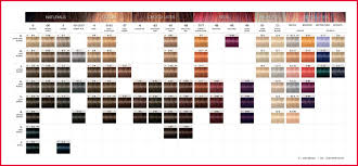 Schwarzkopf Igora Royal Hair Color Chart Amazon Permanent