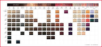 schwarzkopf igora royal hair color chart amazon permanent