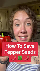 How to Prepare Pepper Bell Pepper Seeds for Storage