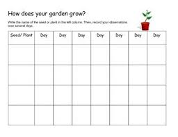 plant seed growth chart seed germination seeds