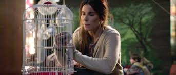 Fill with most any type of feed: Bird Box Star Isn T Happy About Their Role Being Cut Down