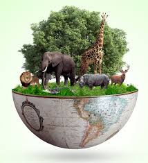 Escrita por botânicos portugueses, a colecção aborda os desenvolvimentos contemporâneos da biologia das plantas. Biodiversidade Conceito E Importancia Ecologia Infoescola