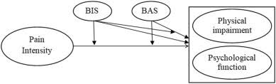 The Behavioral Inhibition And Activation Systems And Function In Patients With Chronic Pain Sciencedirect