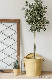 Pin Von Elleanne Oordt Auf Ikea Hacks Ikea Ideen Zimmerpflanzen Pflanzen