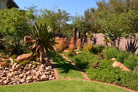 Juanita Knox Designs In South Africa Plants Landscape Design