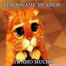 Perdon Mi Amor Imagui