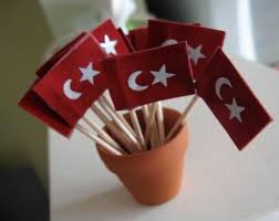 Host an italian american themed dinner party including a three course menu, decor and easy cleanup tips. 7 Turkish Party Ideas Party Red Color Schemes Turkish Recipes