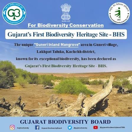 Guneri Inland Mangrove