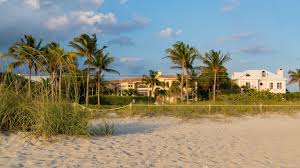 Image result for Sandy Beach Brown 2011 Captiva