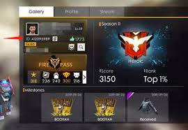 Top Up Garena Free Fire My Sg Server Special Price On9gamer