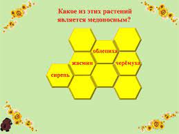 Также растение сирень медовый спас вы можете купить с доставкой курьером в москве или почтой заказ и продажа саженцев растения сирень медовый спас на сезон лето 2021 года. Medovyj Spas Viktorina Prezentaciya Onlajn